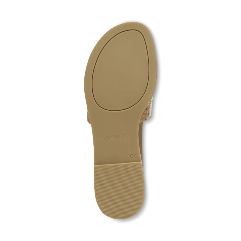 Vionic Demi Badtofflor Sandal Guld Metal | hSWDd3Sv