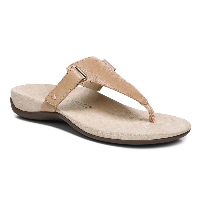 Vionic Wanda T-Rem Sandal Bruna | BM0ZCRDm